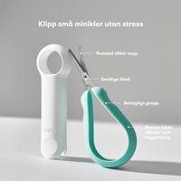 Nagelsax för små vildingar